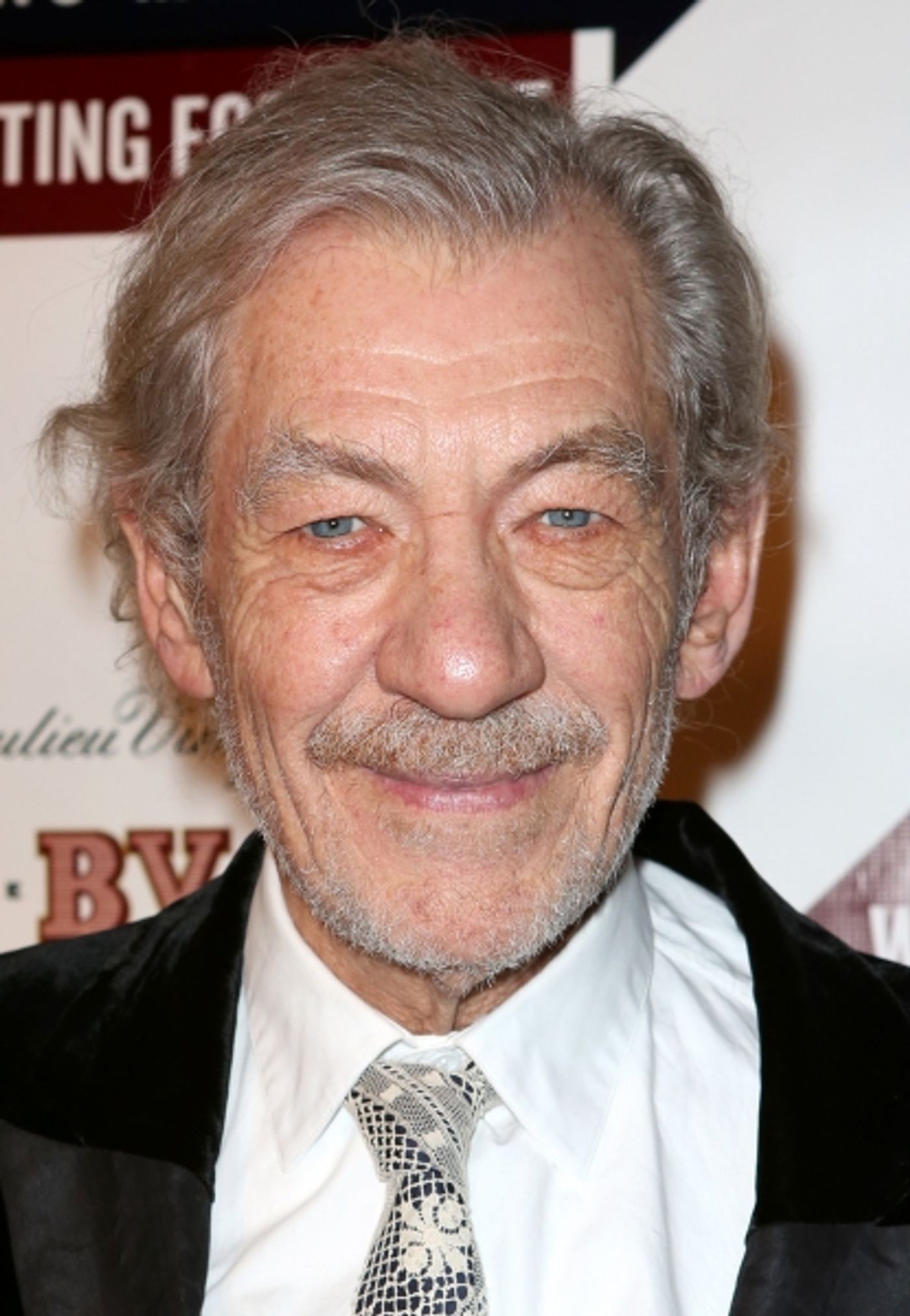 Photo Coverage: WAITING FOR GODOT & NO MAN'S LAND's Patrick Stewart, Ian McKellen & More Celebrate Opening Night!  Image