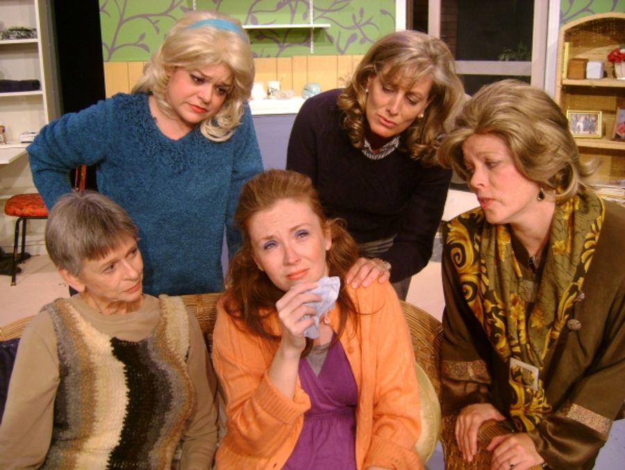 Photo Flash: First Look at City Theatre's STEEL MAGNOLIAS Image
