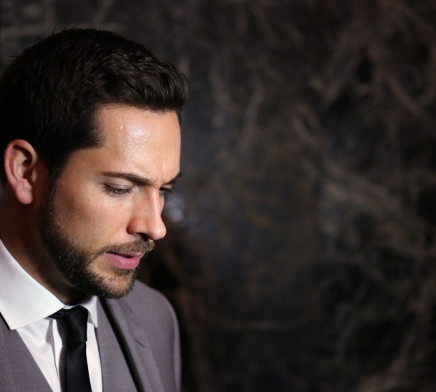 Photo Coverage: On the Red Carpet at the 2013 Oscar Hammerstein Awards  Image