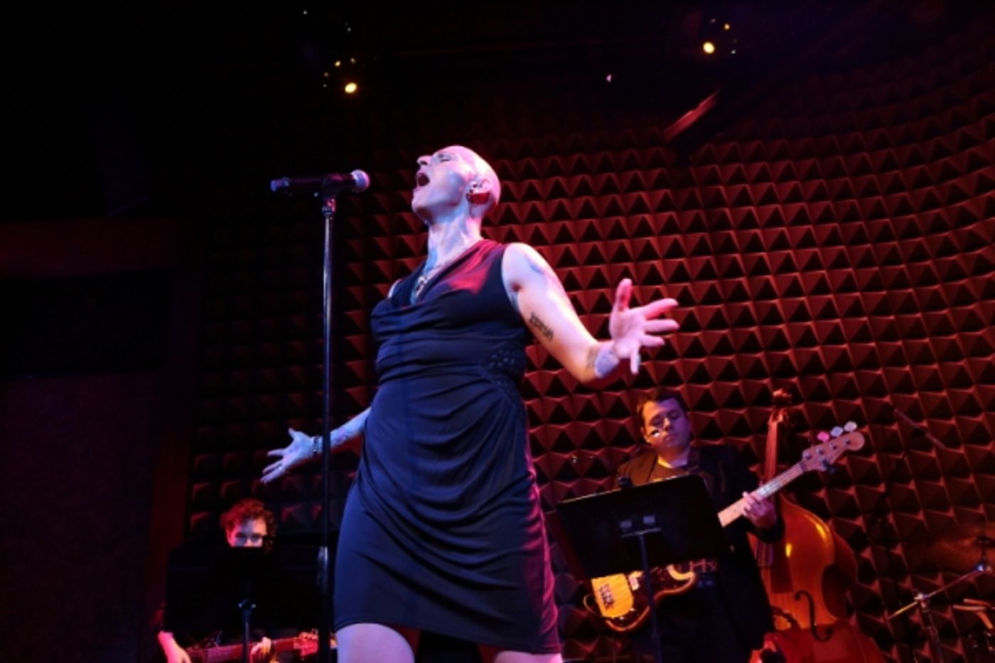 Photo Flash: Shakina Nayfack Brings ONE WOMAN SHOW to Joe's Pub  Image