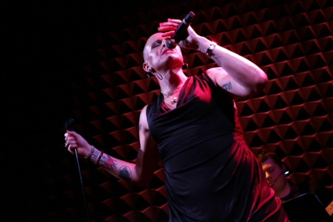 Photo Flash: Shakina Nayfack Brings ONE WOMAN SHOW to Joe's Pub  Image