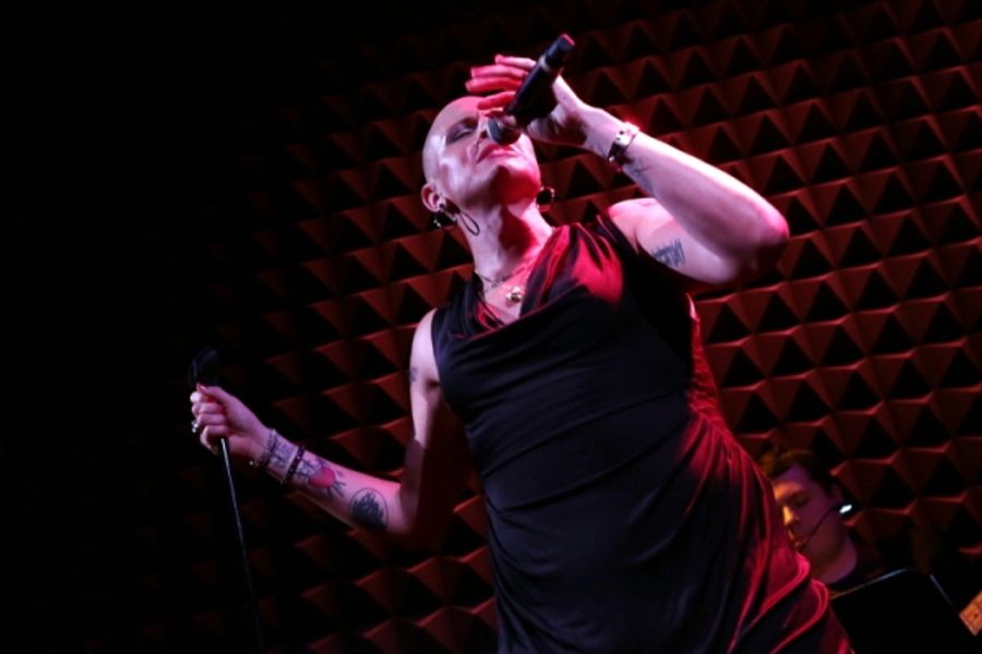 Photo Flash: Shakina Nayfack Brings ONE WOMAN SHOW to Joe's Pub Image