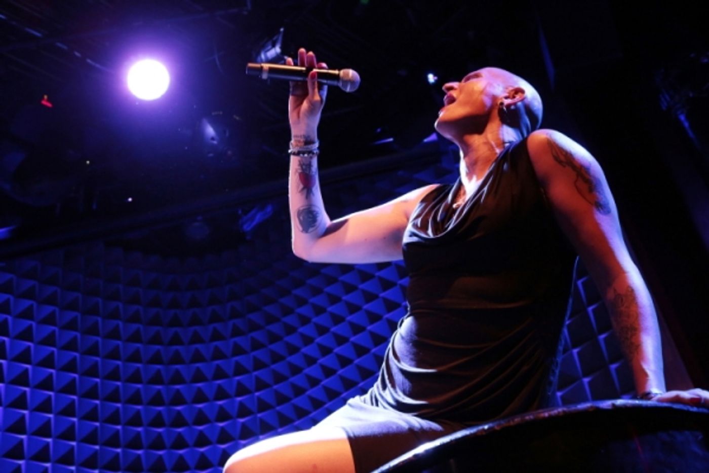 Photo Flash: Shakina Nayfack Brings ONE WOMAN SHOW to Joe's Pub  Image