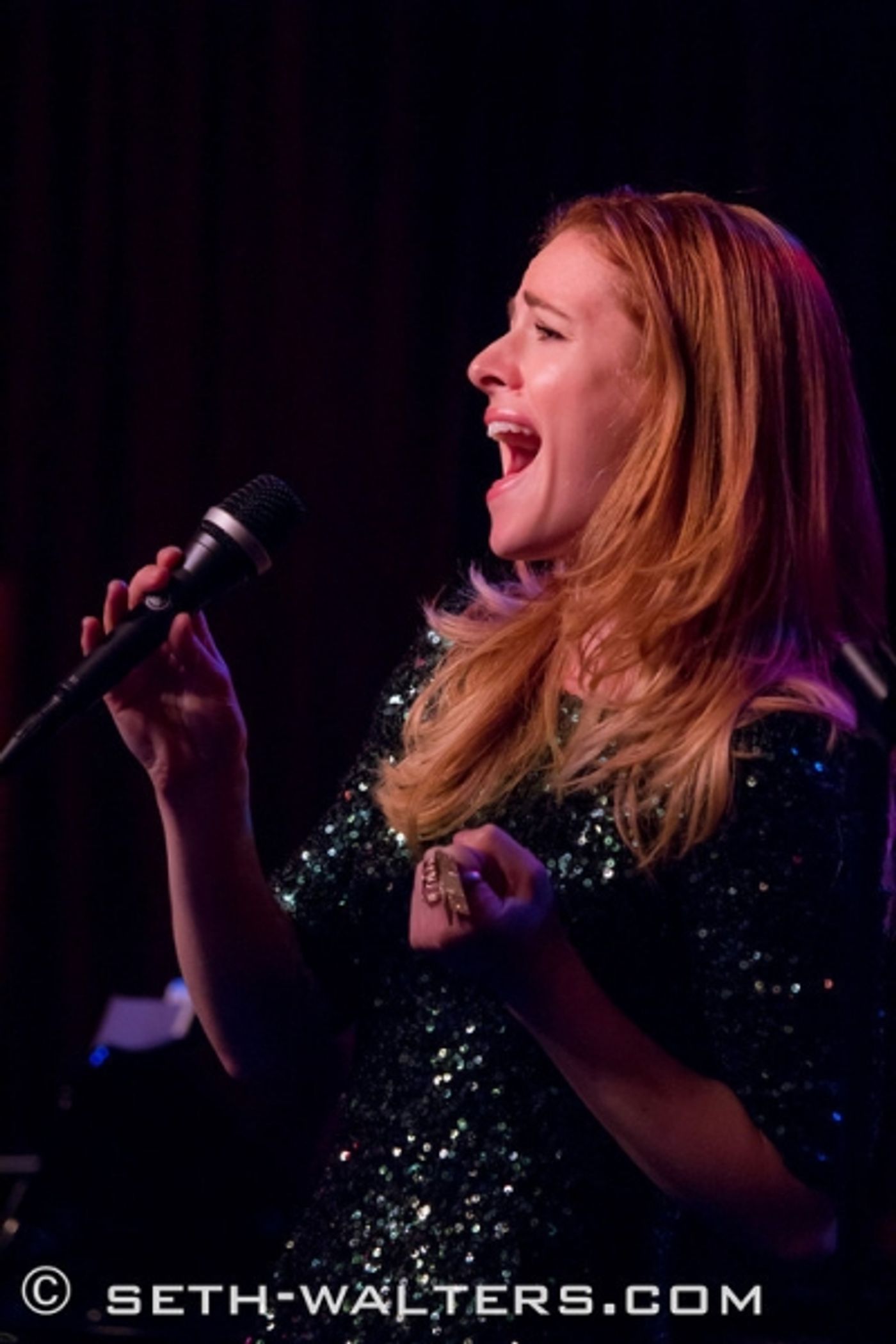 Photo Flash: Laura Osnes, Jeremy Jordan & More Join Frank Wildhorn for Holiday Concert at Birdland  Image