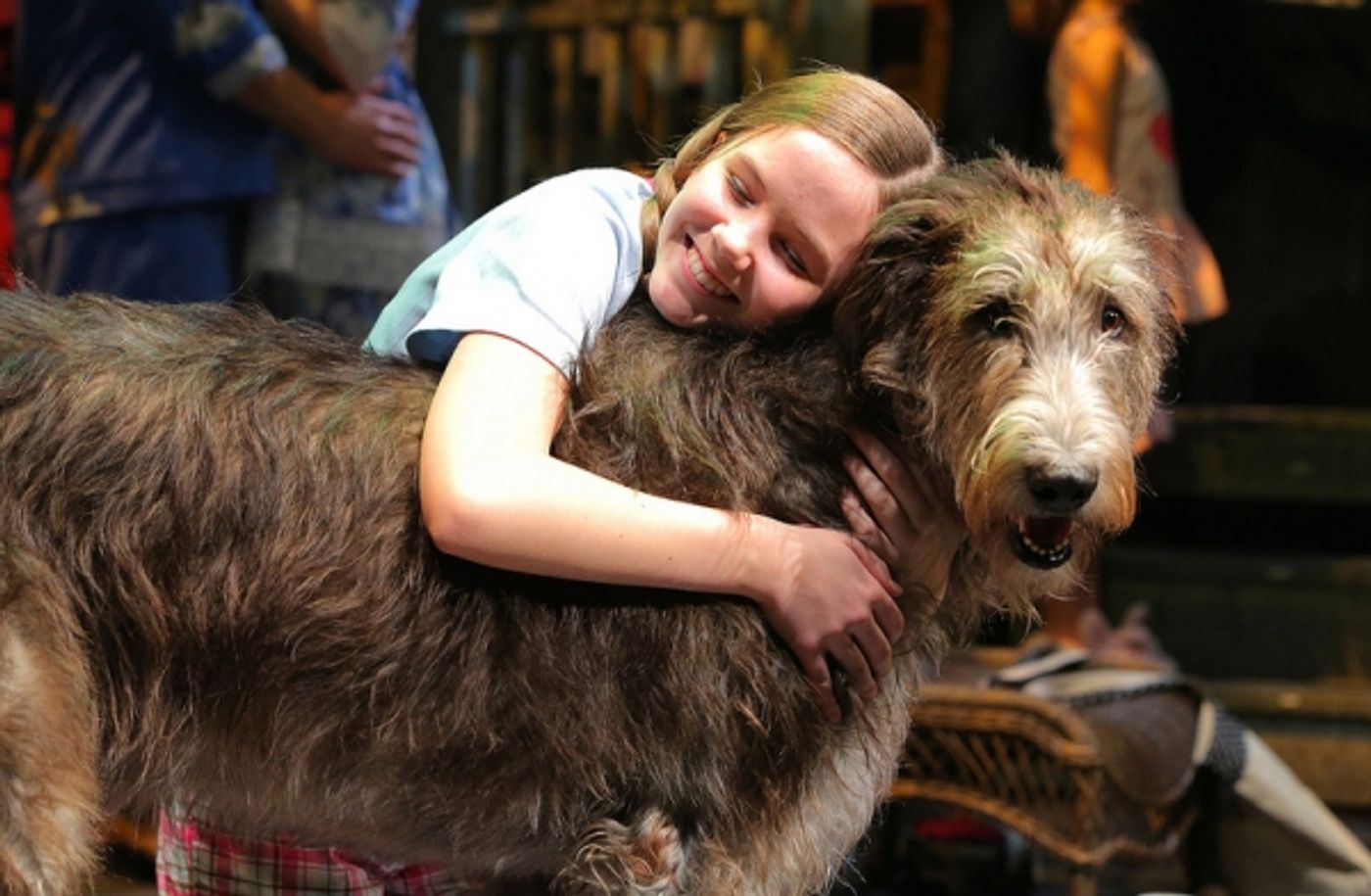 Photo Flash: First Look at Arkansas Rep's BECAUSE OF WINN DIXIE World Premiere  Image