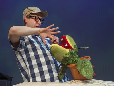 Seymour (Adam Cotugno) feeds Audrey II Photo