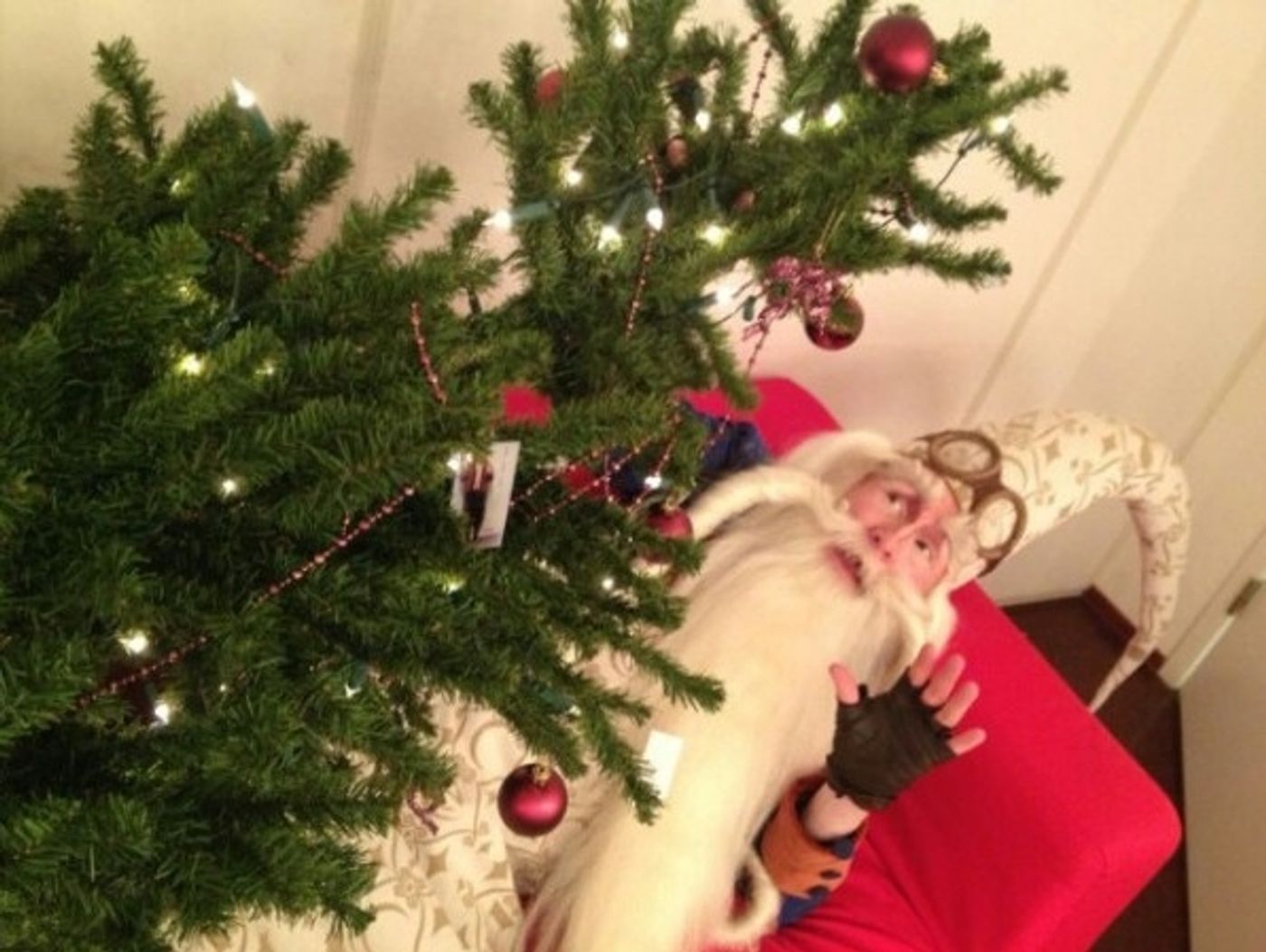 Photo Flash: Saturday Intermission Pics, Dec 21 - Christmas Is in the Air! SCROOGE, THE FANTASTICKS and More!  Image