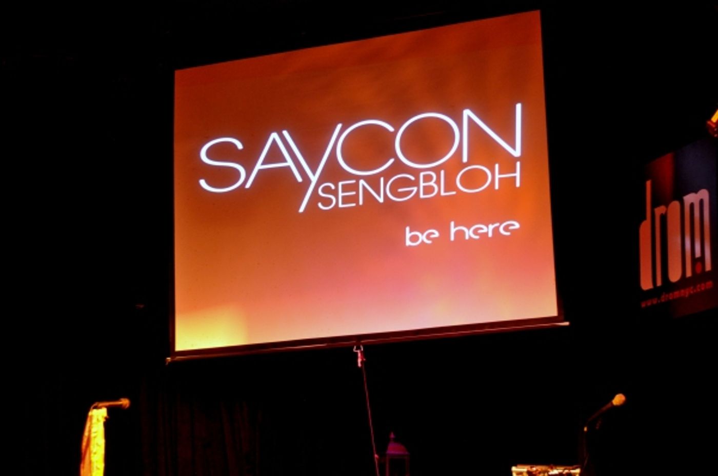 Photo Flash: MOTOWN's Saycon Sengbloh Performs at Drom  Image