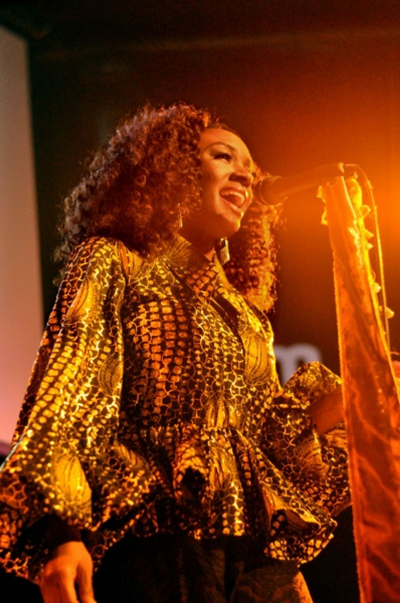 Photo Flash: MOTOWN's Saycon Sengbloh Performs at Drom  Image