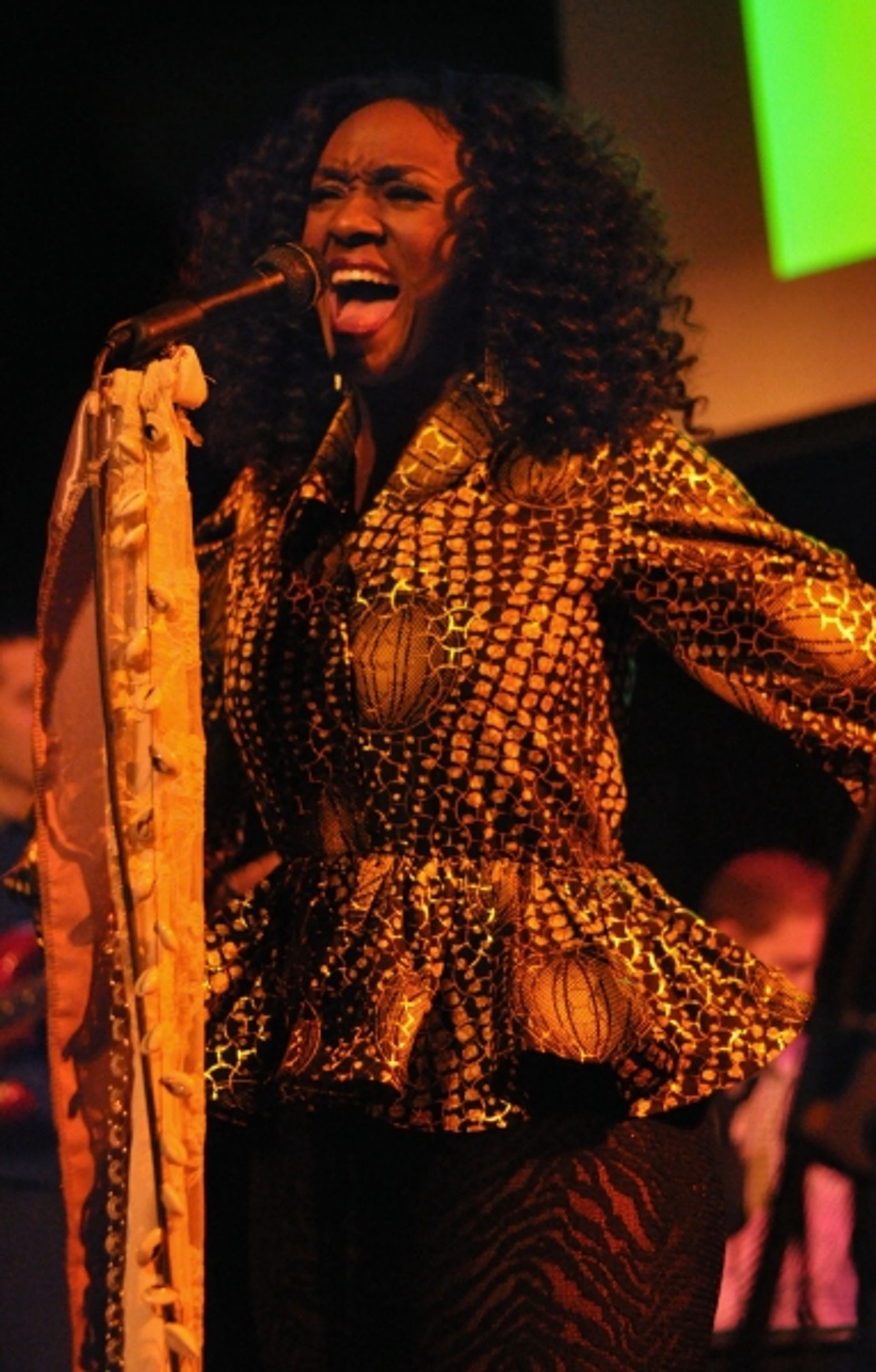 Photo Flash: MOTOWN's Saycon Sengbloh Performs at Drom  Image
