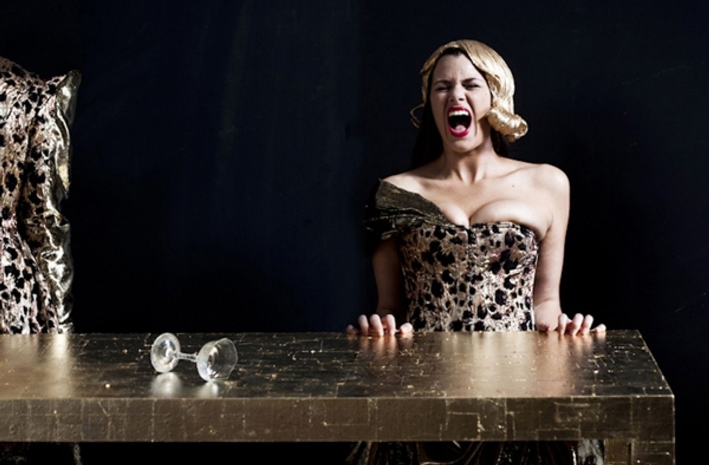 Photo Flash: First Look at 10th Anniversary Under the Radar Festival Productions, Kicking Off 1/8 Photo Flash: First Look at 10th Anniversary Under the Radar Festival Productions, Kicking Off 1/8 Image