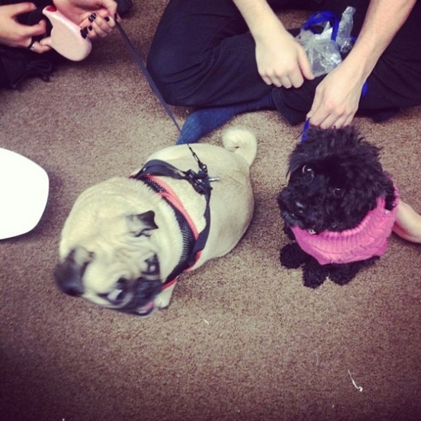 Photo Flash: Saturday Intermission Pics, Jan 11 - GHOST Tour Celebrates 100th Performance and More!  Image