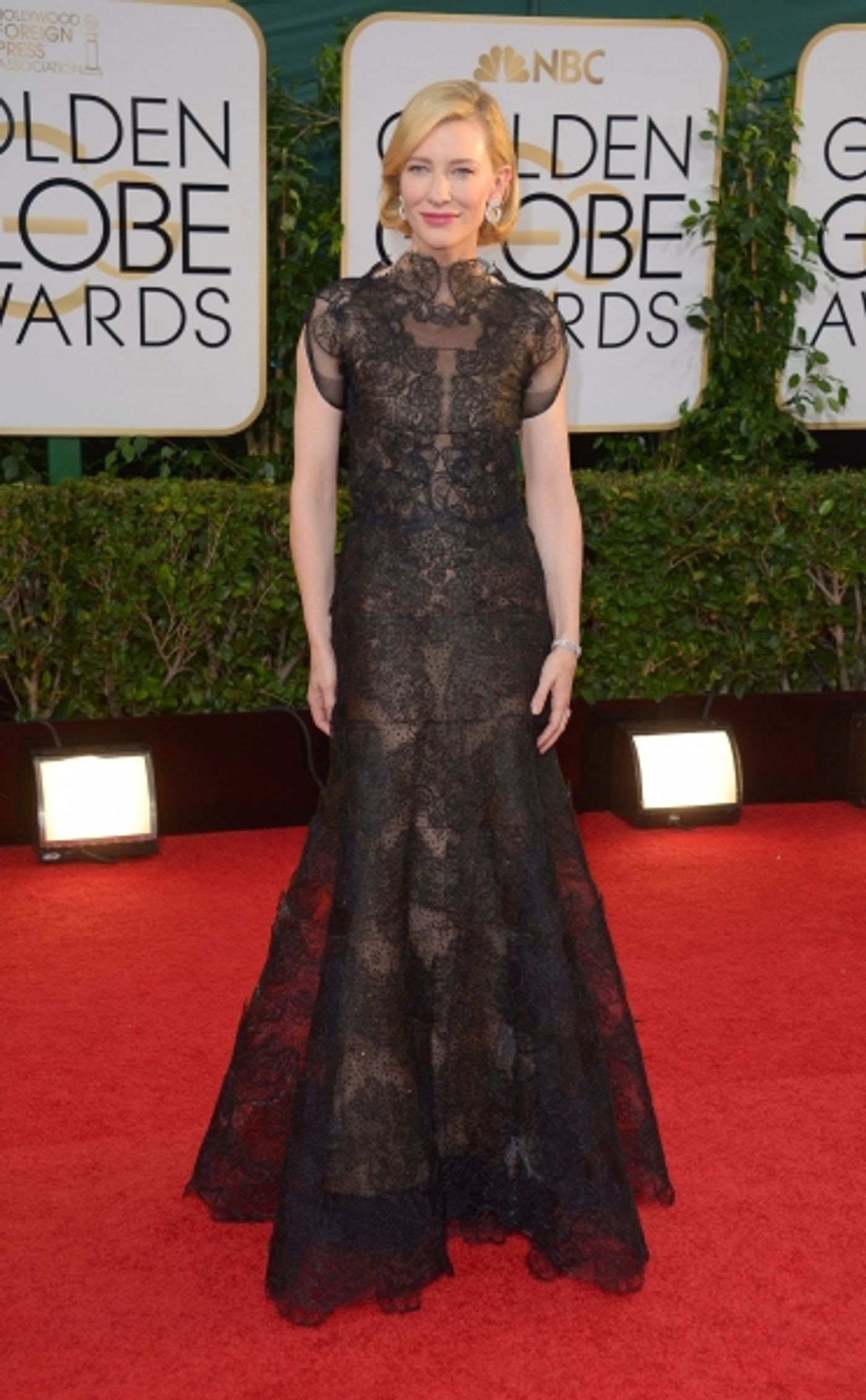 Photo Coverage: Golden Globes Best Dressed  Image