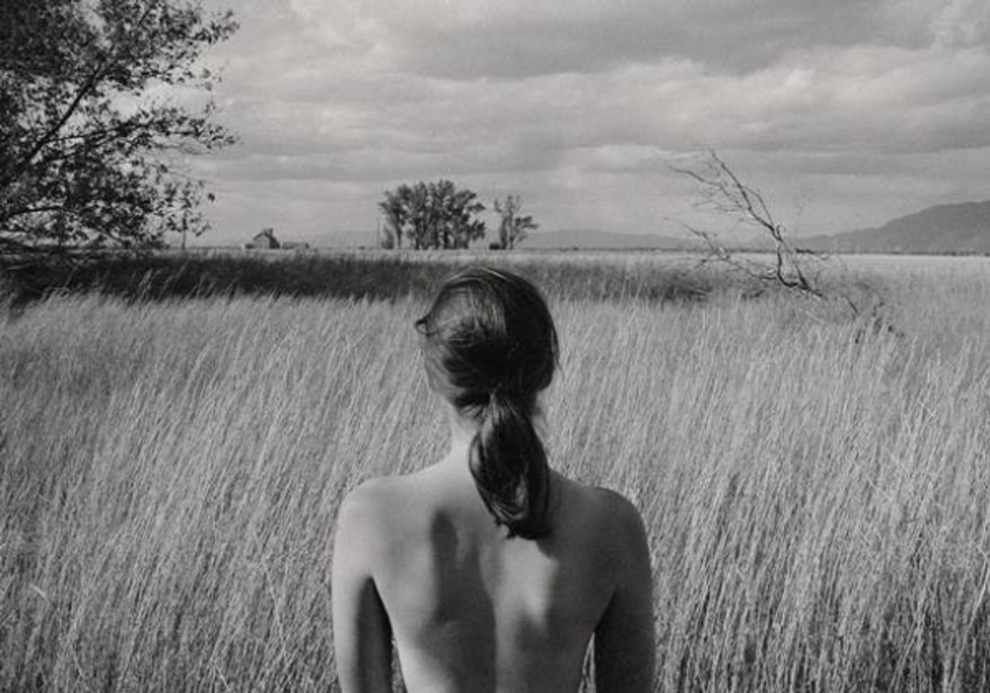 Photo Flash: Cavalier Gallery's FARBERESQUE: FROM PENSIVE TO PROVOCATIVE Exhibition Opens Today Image