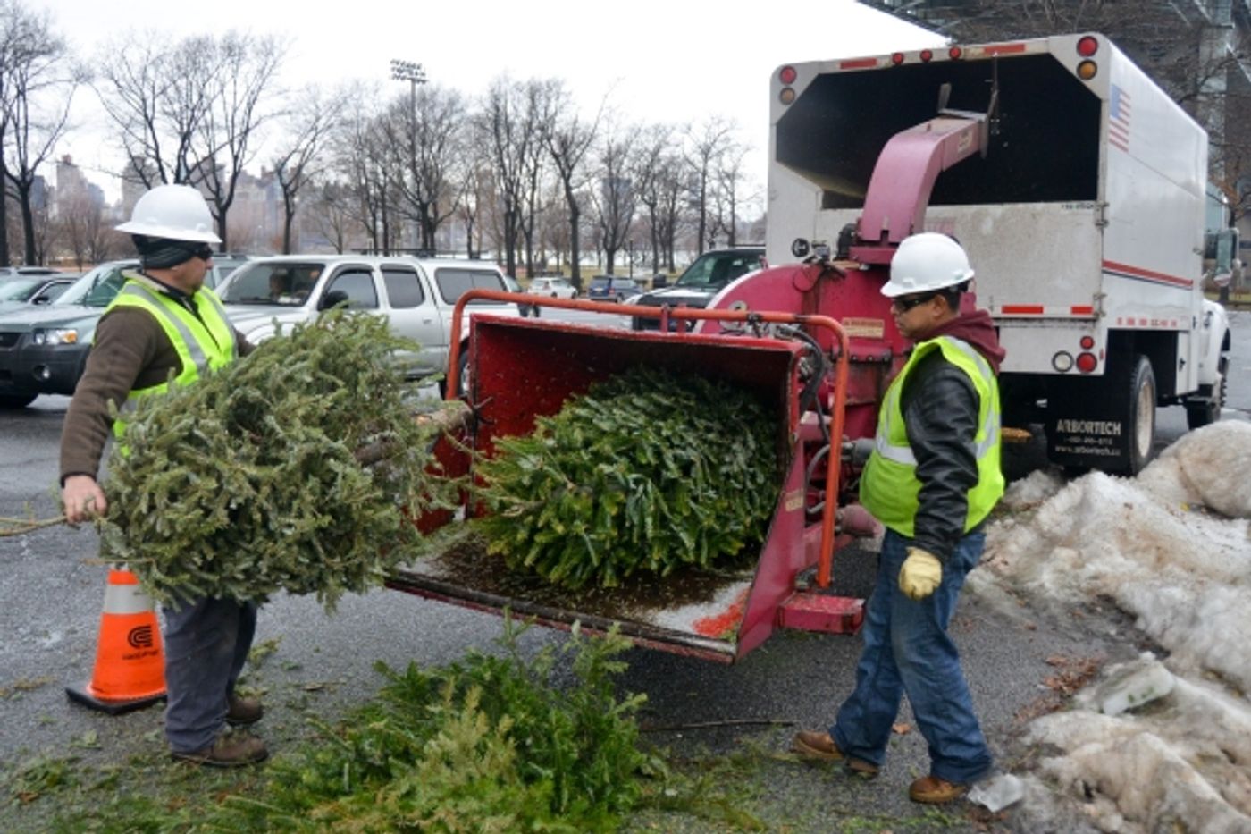 Photo Flash: Record-Breaking Number of Christmas Trees Recycled at MulchFest 2014 Photo Flash: Record-Breaking Number of Christmas Trees Recycled at MulchFest 2014 Image
