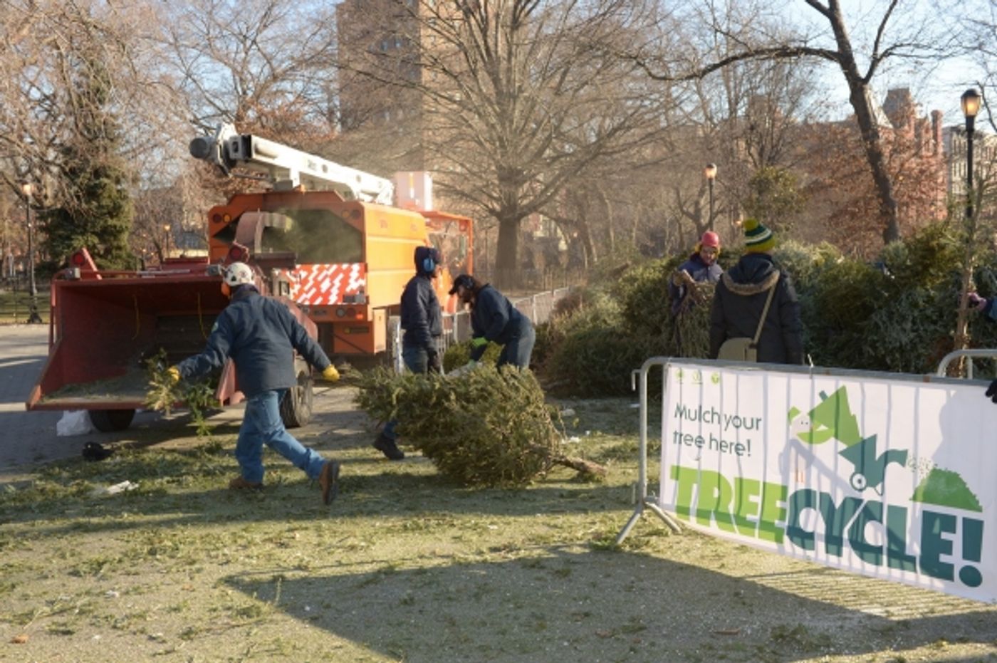 Photo Flash: Record-Breaking Number of Christmas Trees Recycled at MulchFest 2014  Image