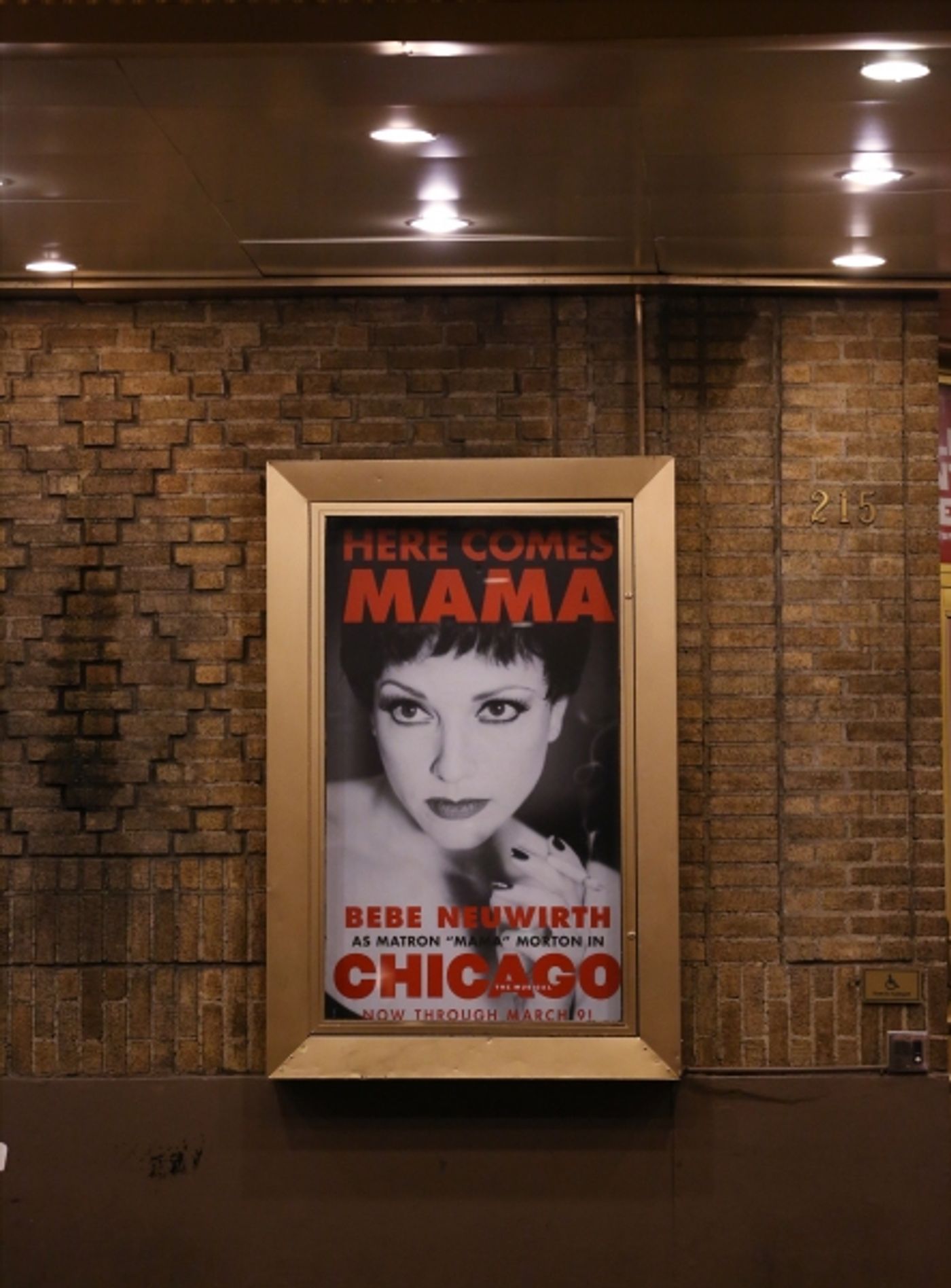 Photo Coverage: She's Got Class! Bebe Neuwirth Returns to CHICAGO as 'Mamma Morton' Photo Coverage: She's Got Class! Bebe Neuwirth Returns to CHICAGO as 'Mamma Morton' Image