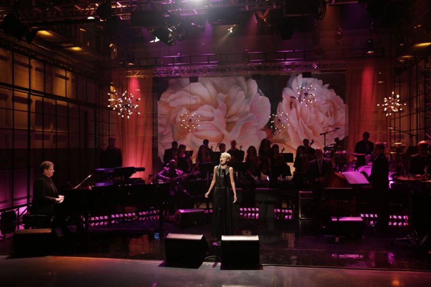 Photo Flash: Kristin Chenoweth Gets Standing Ovation for 'Smile' on THE TONIGHT SHOW  Image