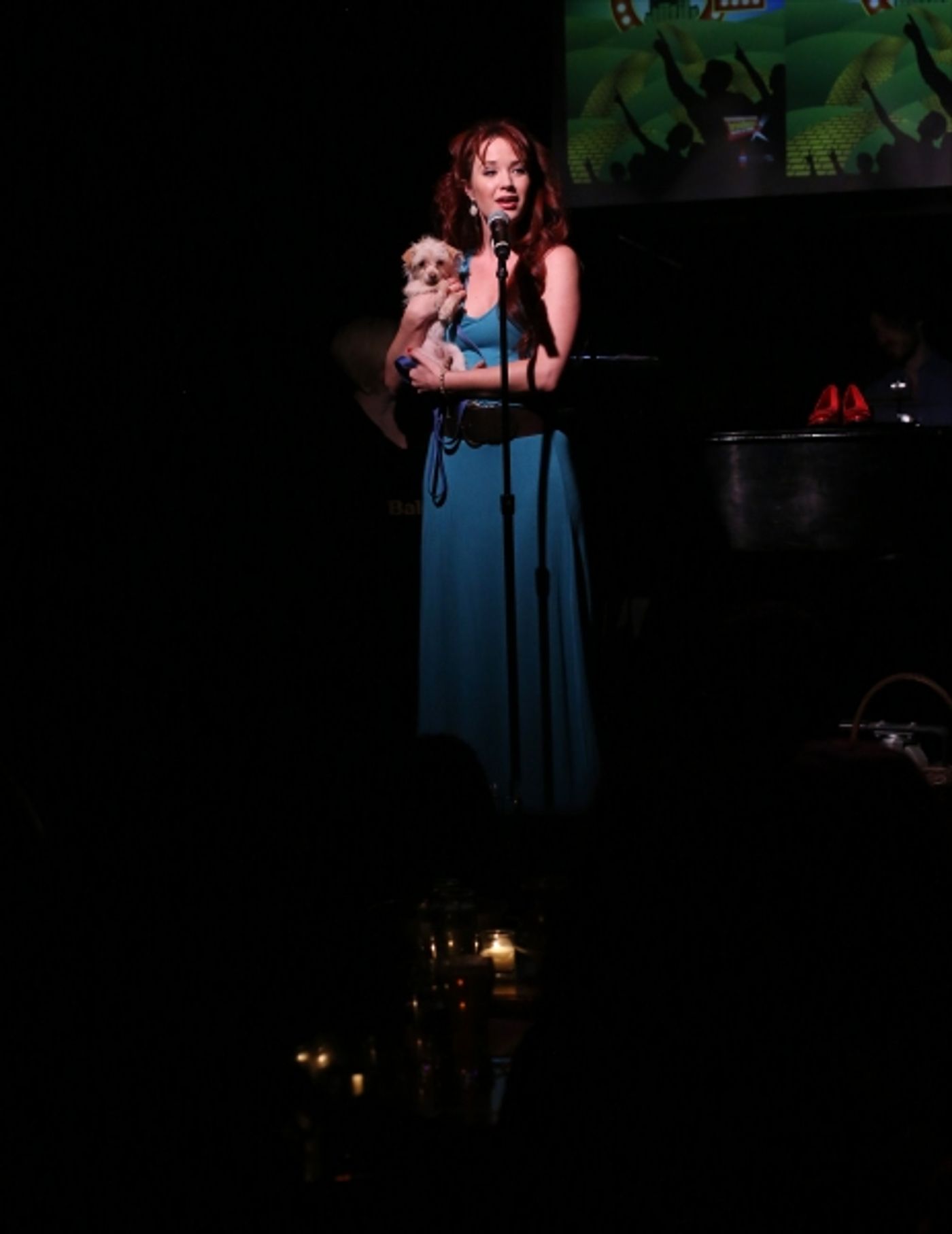 Photo Coverage: BROADWAYWORLD.COM VISITS OZ The Concert - Part One Image