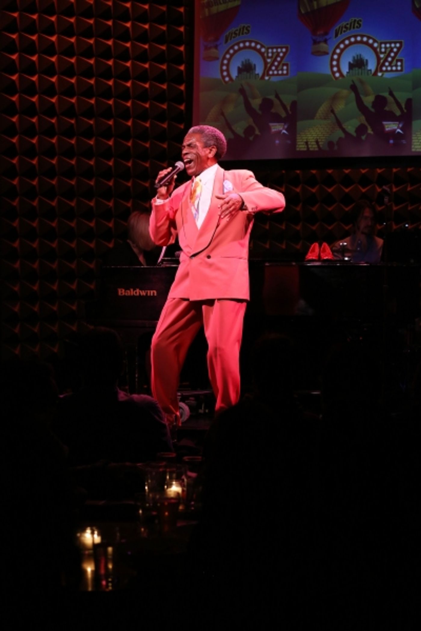 Photo Coverage: BROADWAYWORLD.COM VISITS OZ The Concert - Part One Image