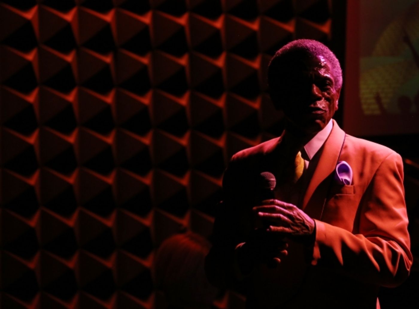 Photo Coverage: BROADWAYWORLD.COM VISITS OZ The Concert - Part One Image