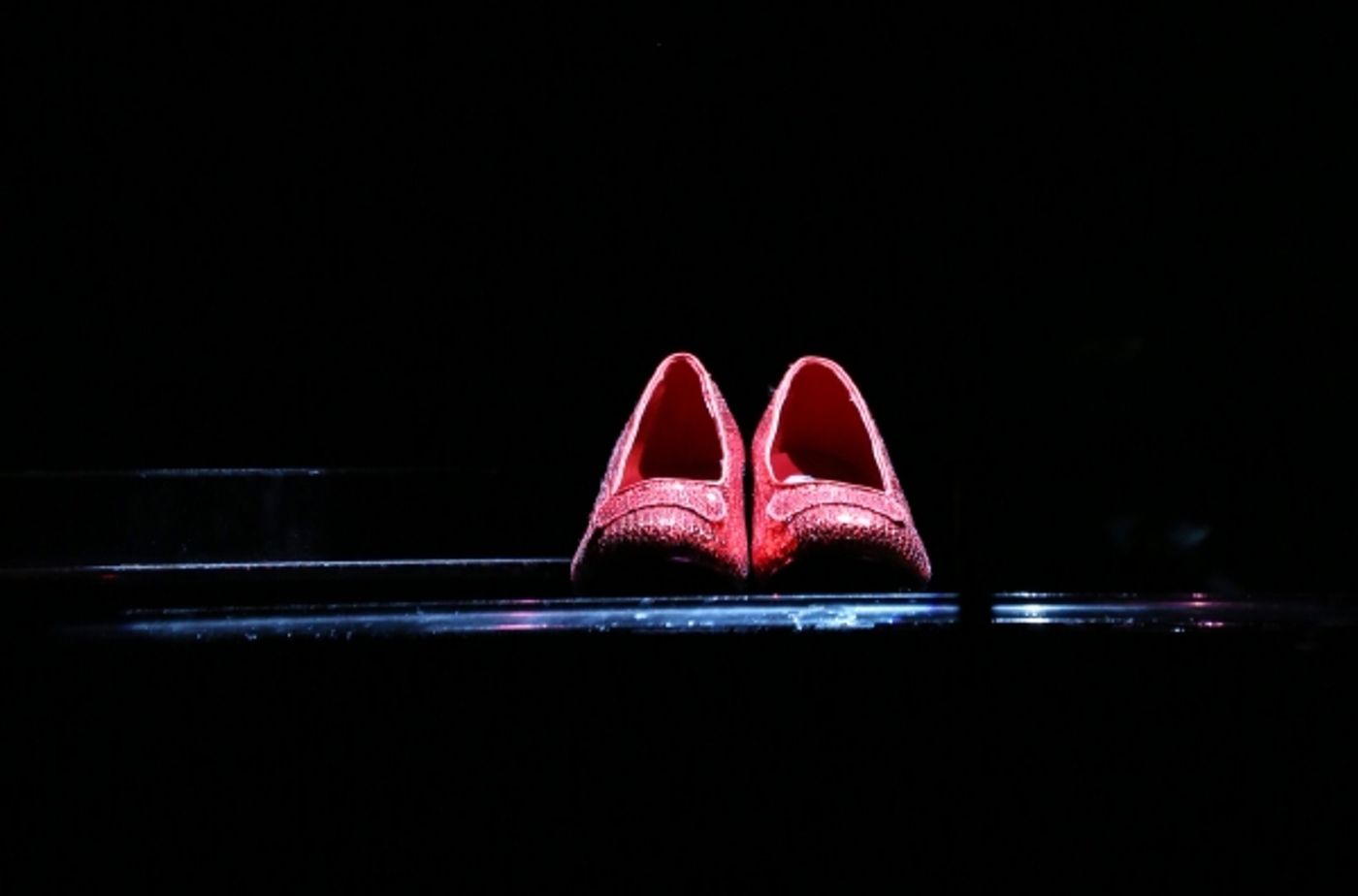 Photo Coverage: BROADWAYWORLD.COM VISITS OZ The Concert - Part One Image