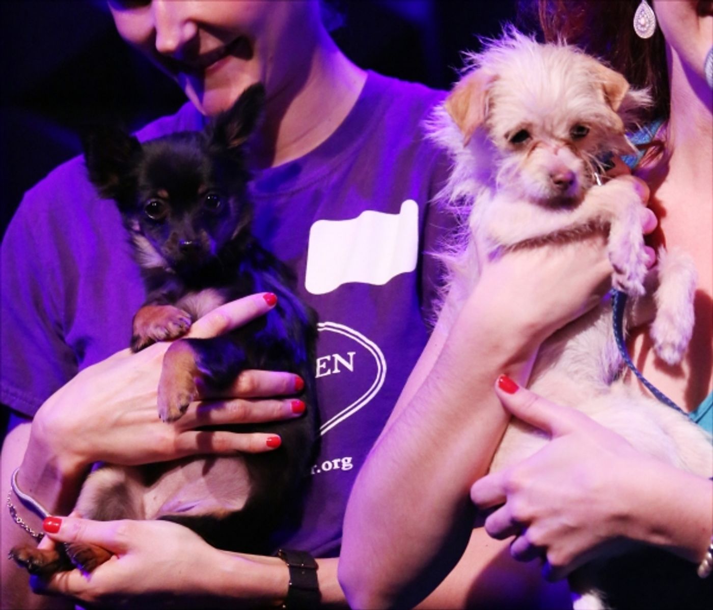 Photo Coverage: BROADWAYWORLD.COM VISITS OZ The Concert - Part One Image