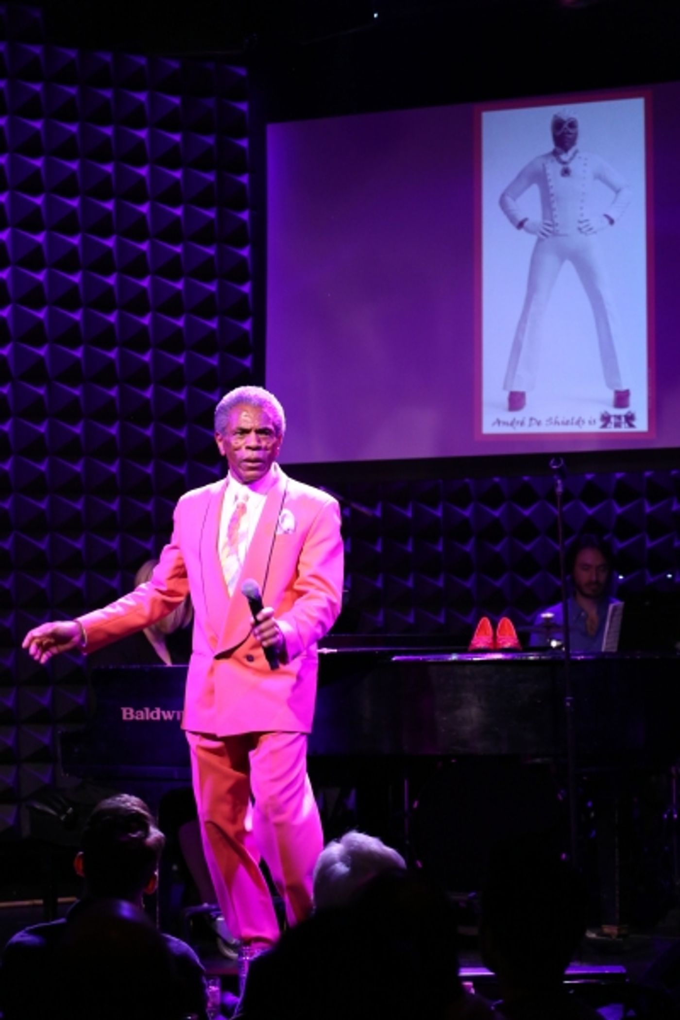 Photo Coverage: BROADWAYWORLD.COM VISITS OZ The Concert - Part One Image