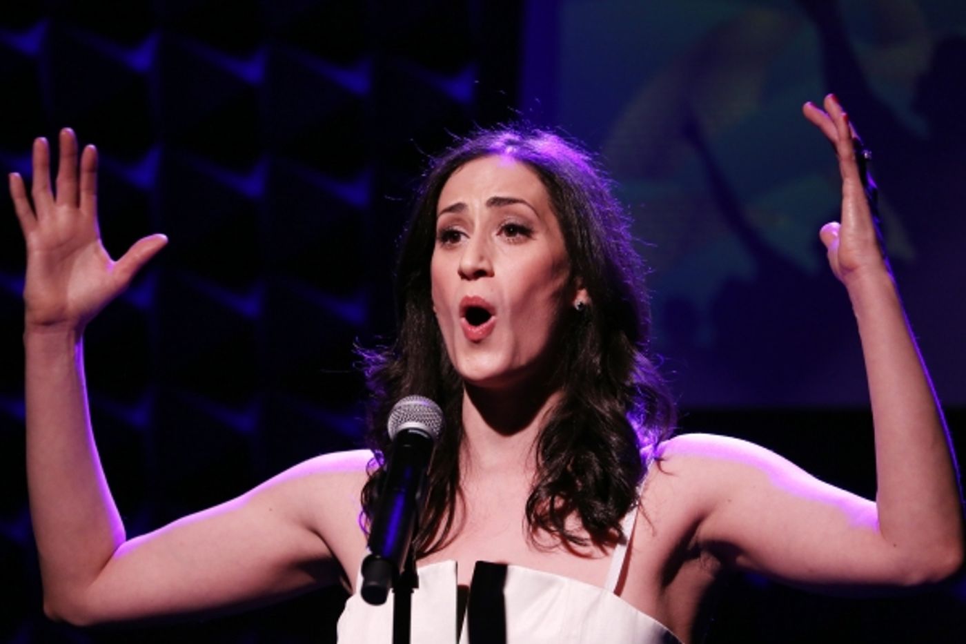 Photo Coverage: BROADWAYWORLD.COM VISITS OZ The Concert - Part Two Image