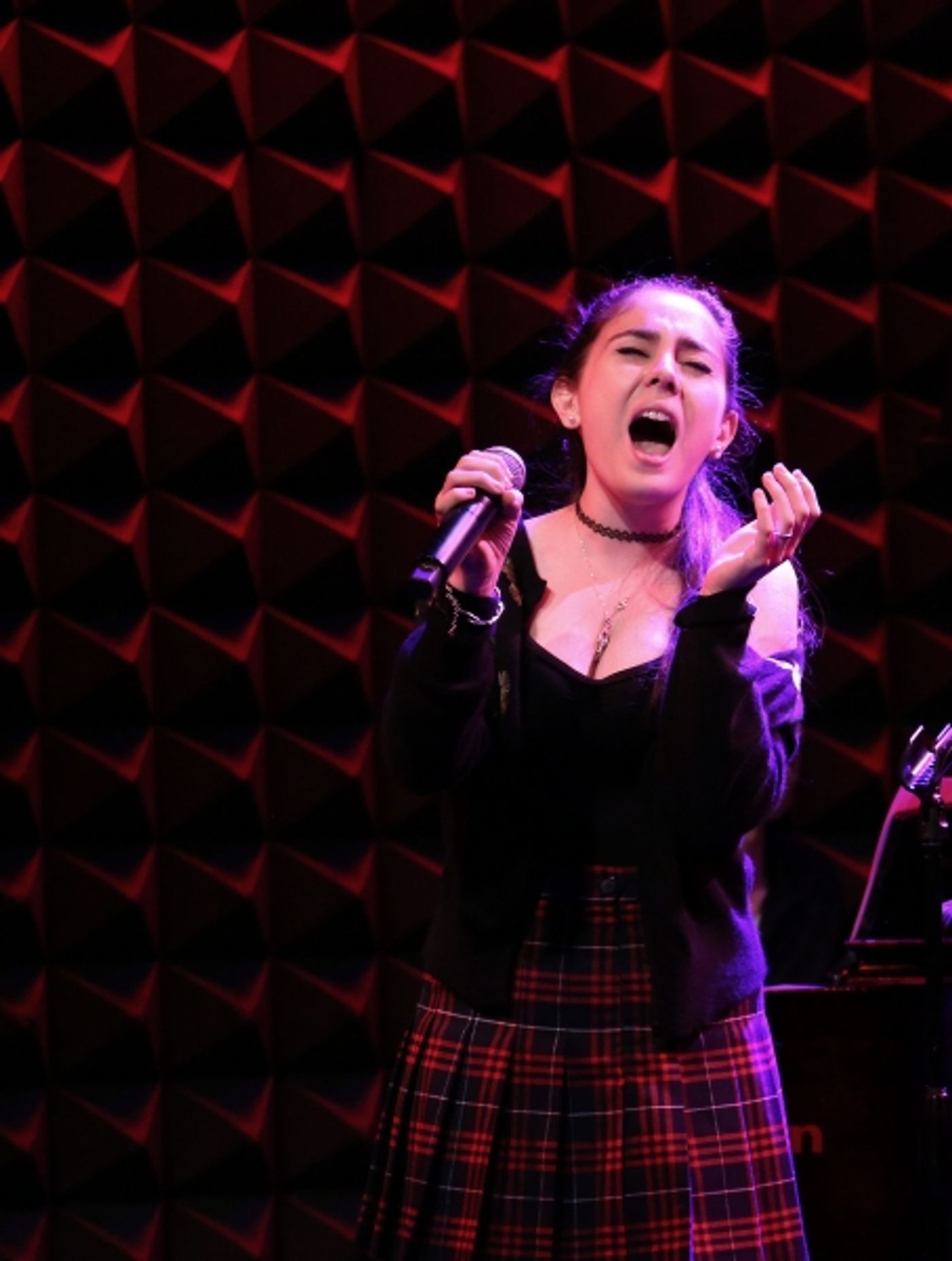 Photo Coverage: BROADWAYWORLD.COM VISITS OZ The Concert - Part Two Image