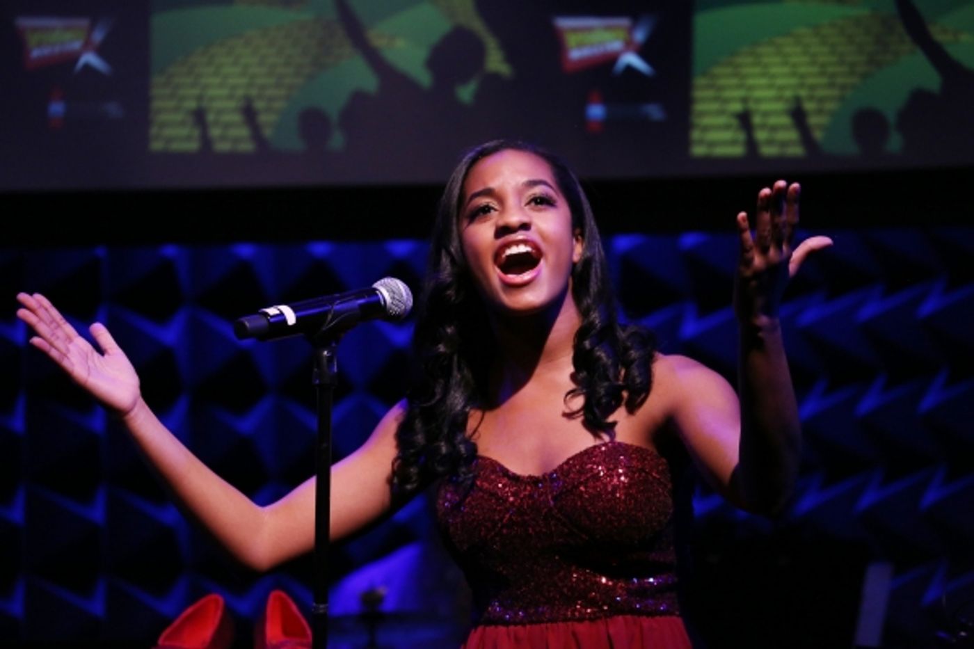 Photo Coverage: BROADWAYWORLD.COM VISITS OZ The Concert - Part Three Image