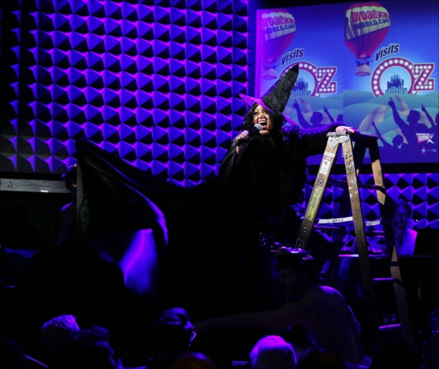 Photo Coverage: BROADWAYWORLD.COM VISITS OZ The Concert - Part Three Image