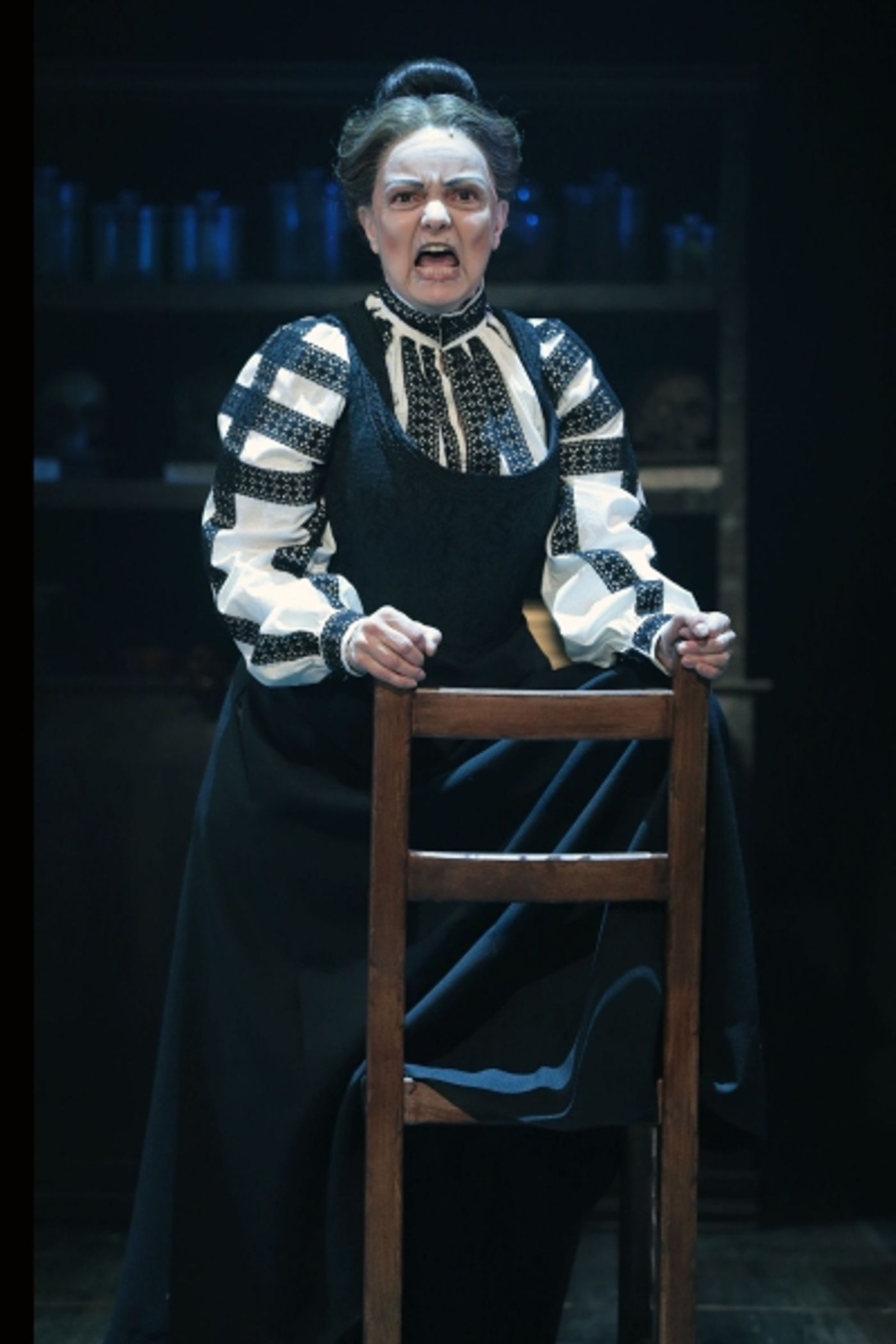 Photo Coverage: YOUNG FRANKENSTEIN at Drury Lane Theatre Image