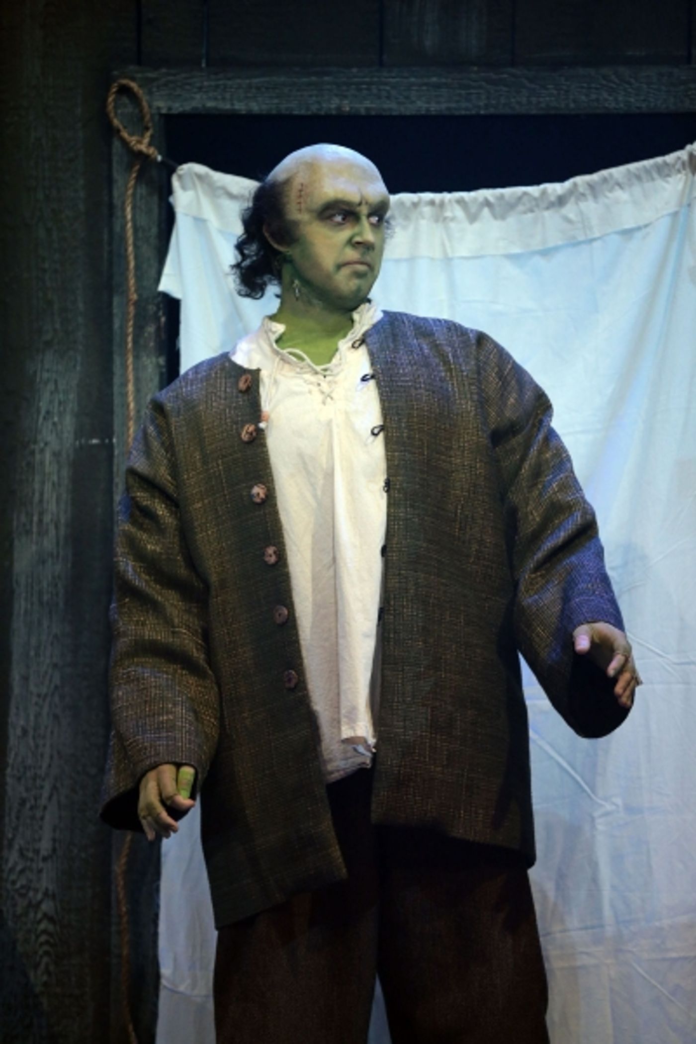 Photo Coverage: YOUNG FRANKENSTEIN at Drury Lane Theatre Image