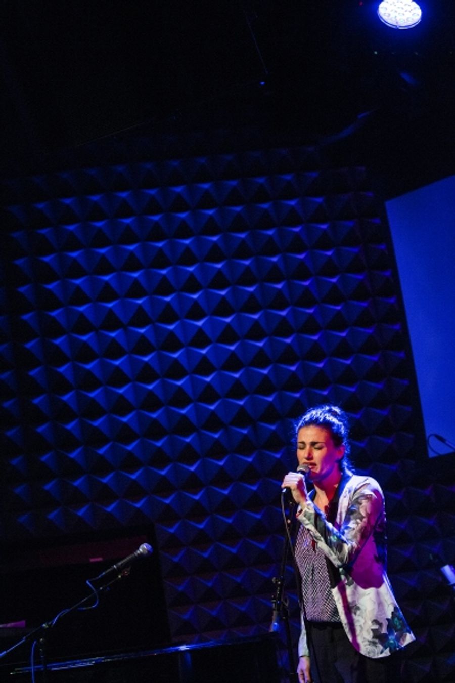 Photo Coverage: Idina Menzel, Kerry Butler and More Perform for LIVING FOR TODAY! Image