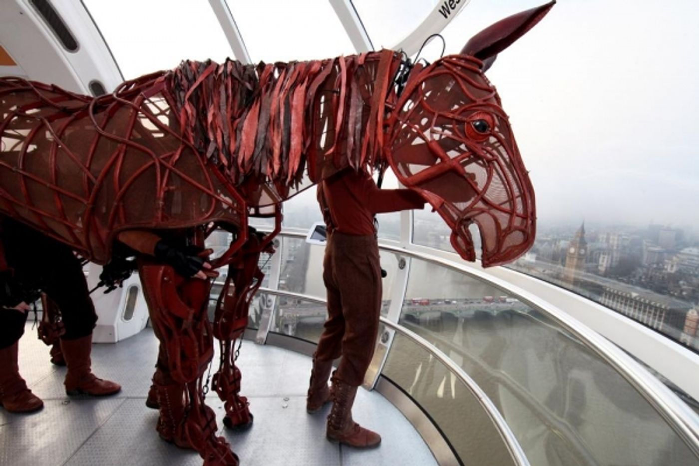 Photo Flash: WAR HORSE Equine Star Joey Celebrates 2,000 Performances in the West End  Image