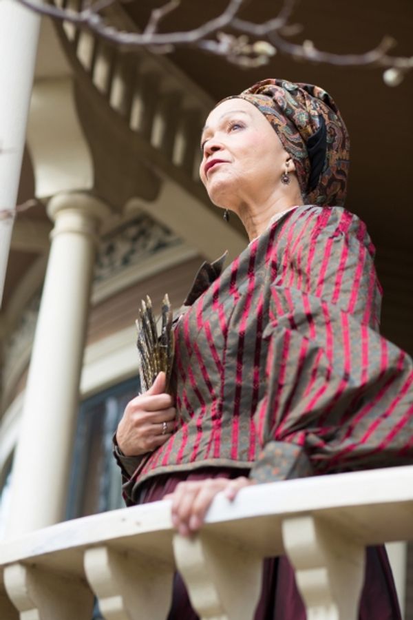 Lizan Mitchell (Beartrice) is the matriarch of the Albans family in Marcus Gardley Photo