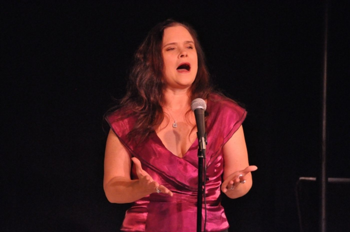 Photo Coverage: Karen Akers, Charles Busch & More Perform at Nightlife Benefit Concert  Image