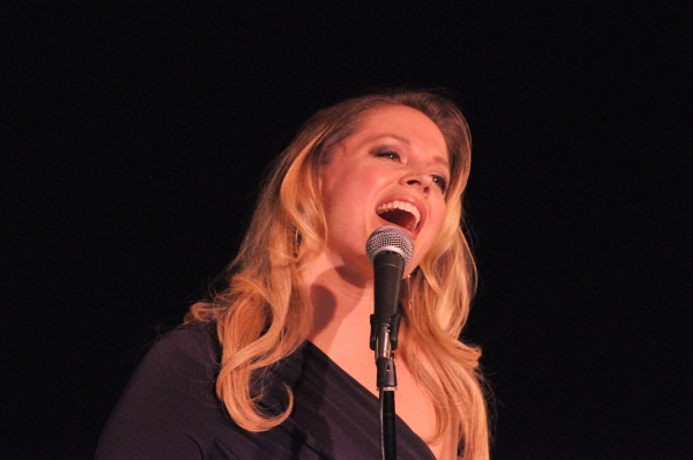 Photo Coverage: Karen Akers, Charles Busch & More Perform at Nightlife Benefit Concert  Image