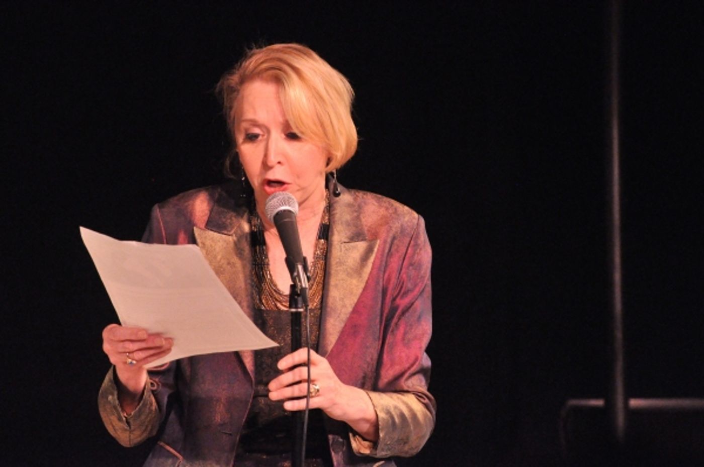 Photo Coverage: Karen Akers, Charles Busch & More Perform at Nightlife Benefit Concert  Image