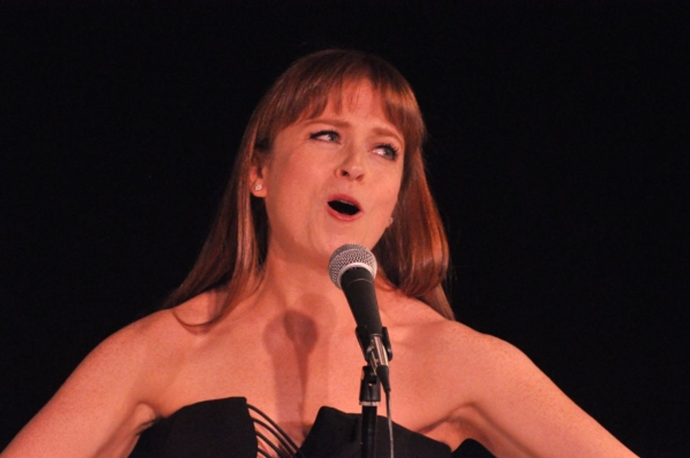 Photo Coverage: Karen Akers, Charles Busch & More Perform at Nightlife Benefit Concert  Image