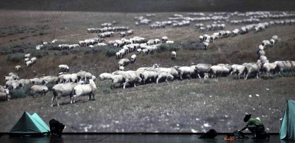 Daniel Okulitch Photo