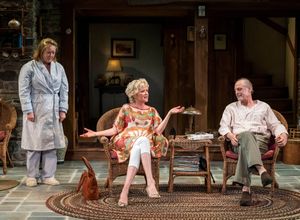 Kristine Nielsen, Christine Ebersole and Mark Blum Photo