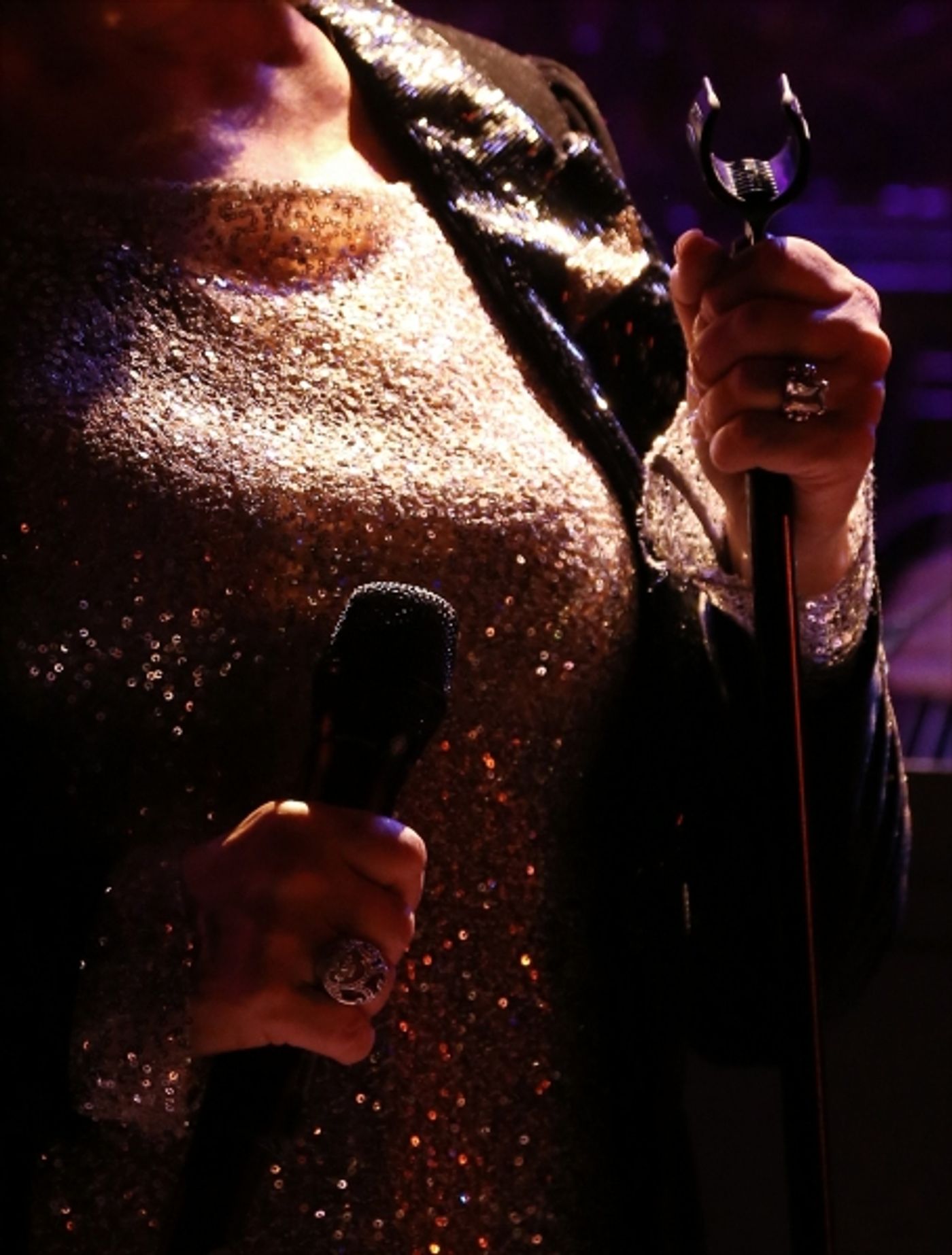 Photo Coverage: More from Michele Lee's 54 Below Show!  Image