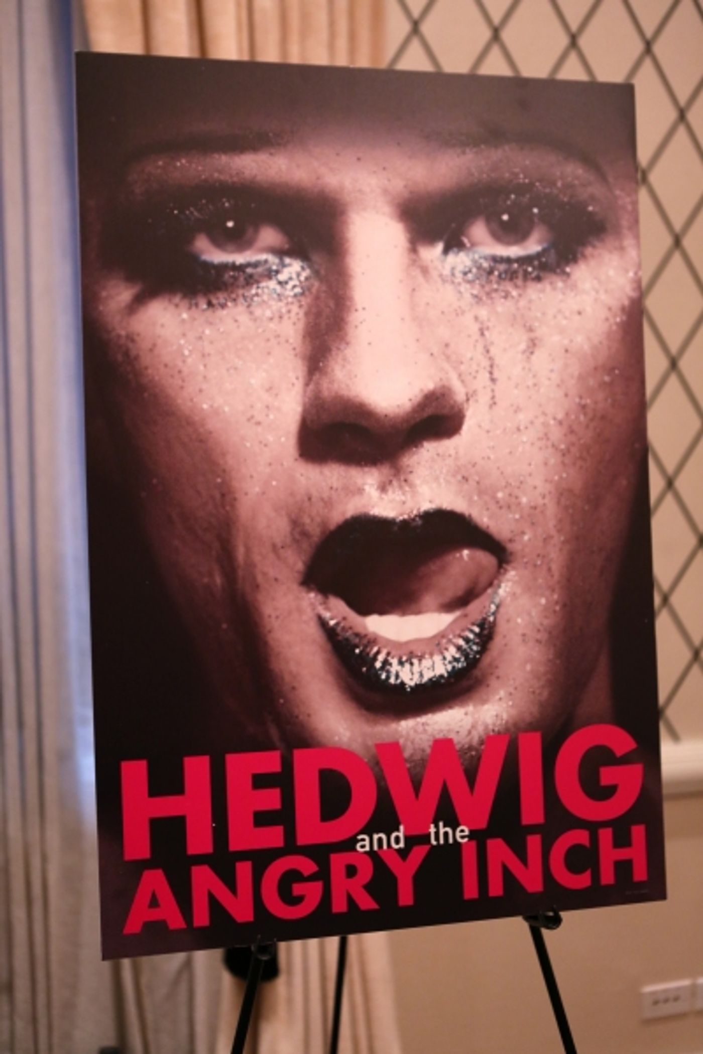 Photo Coverage: Meet the Company of Broadway-Bound HEDWIG AND THE ANGRY INCH!  Image
