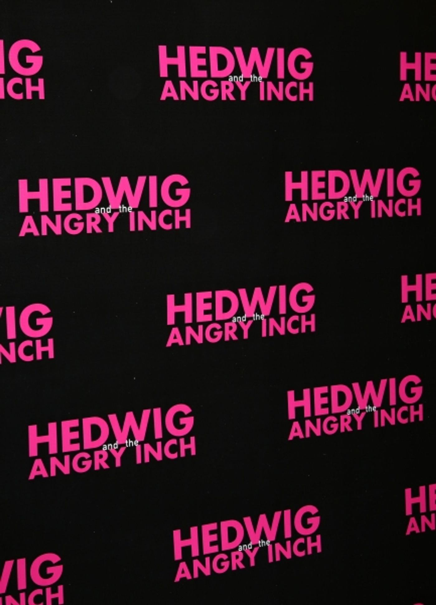 Photo Coverage: Meet the Company of Broadway-Bound HEDWIG AND THE ANGRY INCH!  Image
