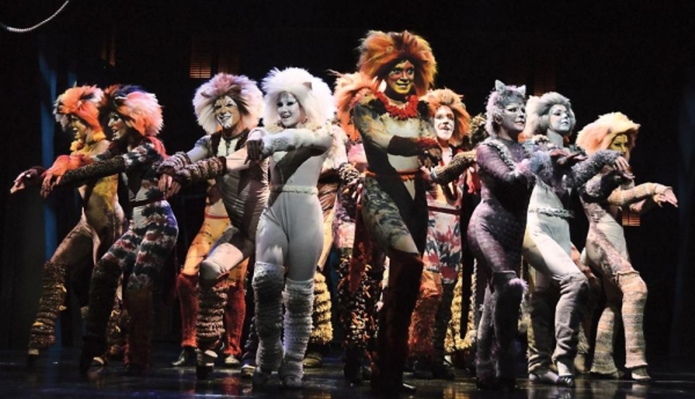 Photo Flash: First Look - CATS Opens Tonight at Beef & Boards Dinner Theatre Photo Flash: First Look - CATS Opens Tonight at Beef & Boards Dinner Theatre Image