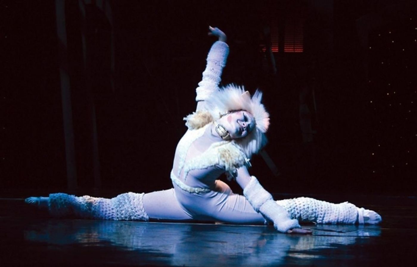 Photo Flash: First Look - CATS Opens Tonight at Beef & Boards Dinner Theatre Photo Flash: First Look - CATS Opens Tonight at Beef & Boards Dinner Theatre Image