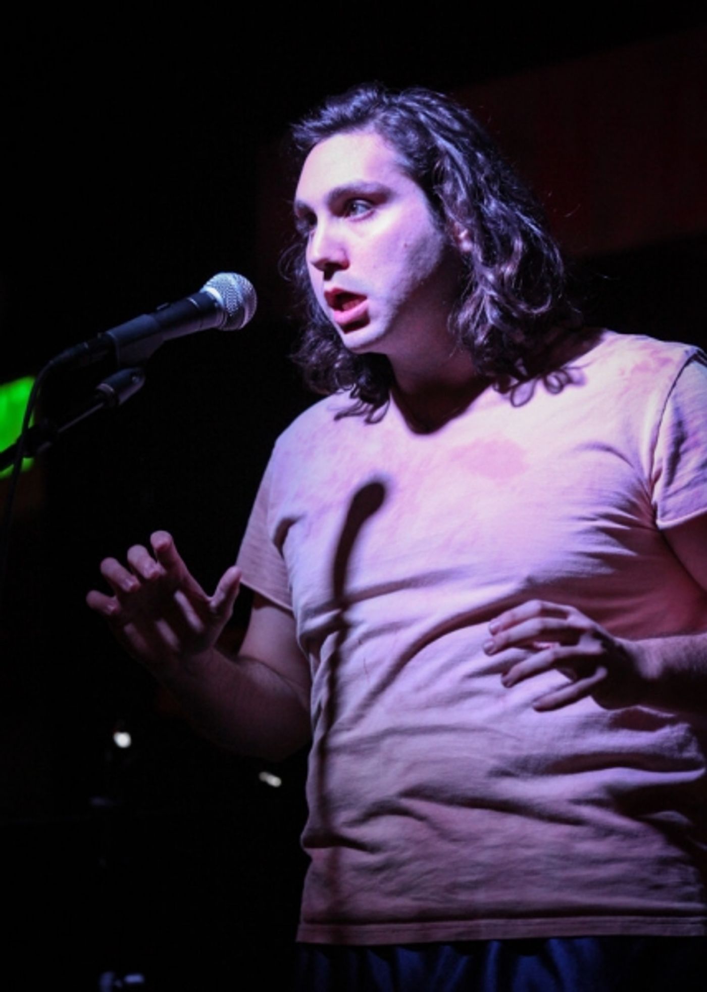 Photo Flash: Sneak Peek - Color and Light Theatre Ensemble to Encore THINGS TO RUIN, Feb 8  Image