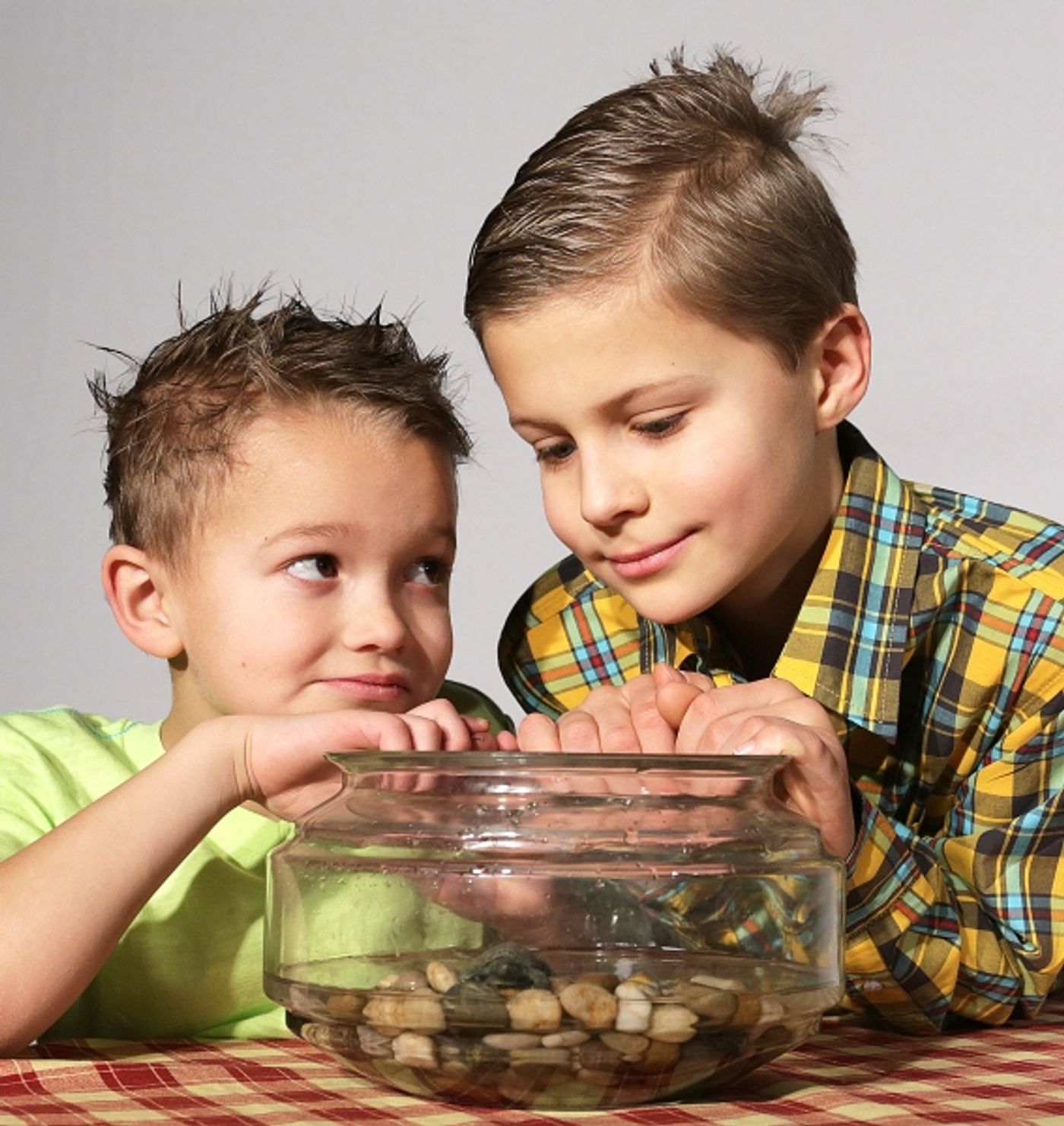 Photo Flash: Meet the Cast of DM Playhouse's TALES OF A FOURTH GRADE NOTHING  Image